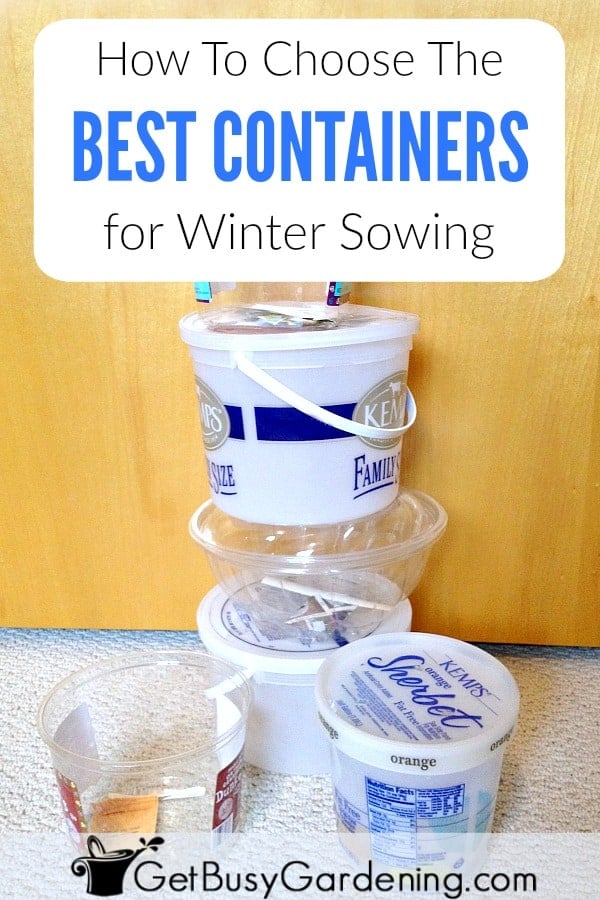 How To Choose The Best Containers For Winter Sowing