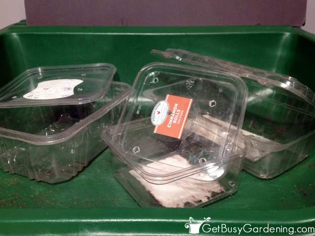 Clean Winter Sowing Containers