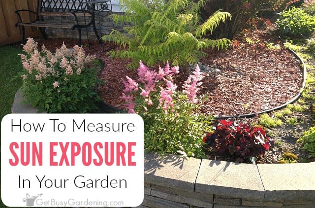 How To Determine Sun Exposure In Your Garden Get Busy Gardening