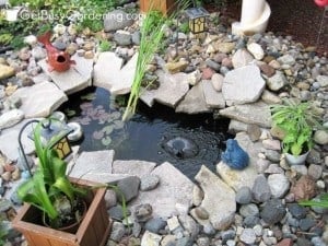 How To Keep Pond Water Clear & Get Rid Of Algae Naturally - Get Busy ...