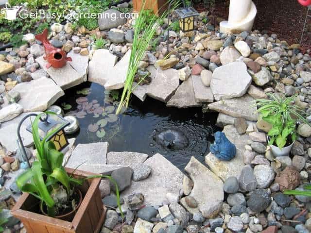 My garden pond with sparkling clear water. My garden pond with sparkling clear water.