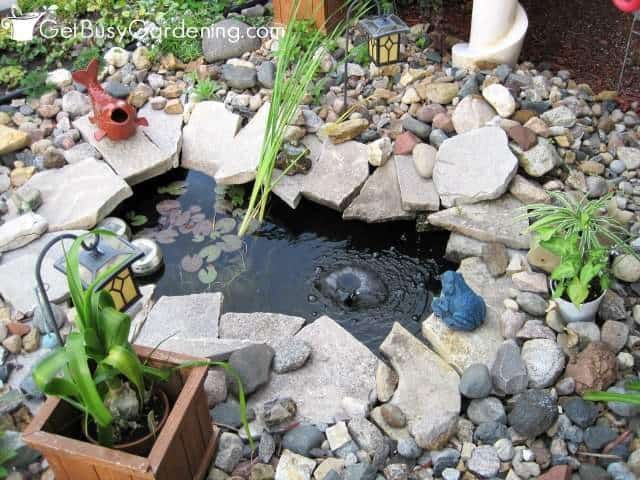 My garden pond with sparkling clear water.