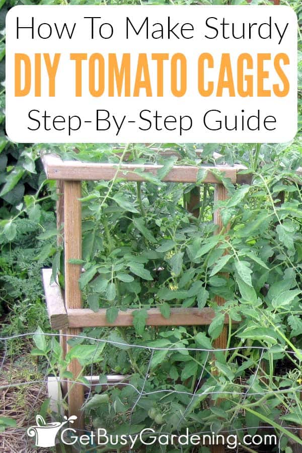 How To Make Sturdy DIY Tomato Cages Step-By-Step Guide