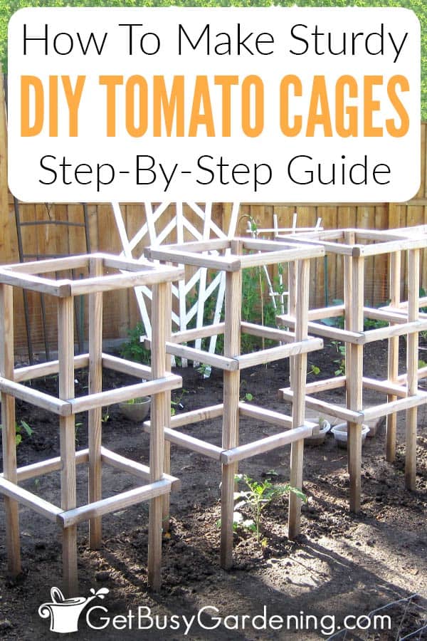 How To Make Sturdy DIY Tomato Cages Step-By-Step Guide
