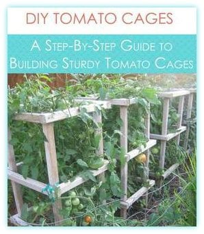 How To Make Sturdy DIY Wooden Tomato Cages - Get Busy Gardening