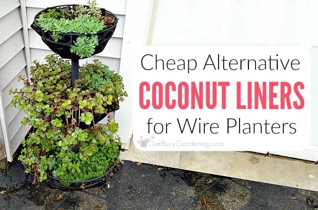 Cheap Alternative Coconut Liners For 
Wire Basket Planters