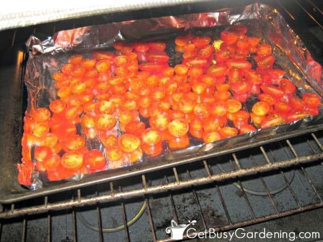 Place Cherry Tomatoes In Oven To Dry
