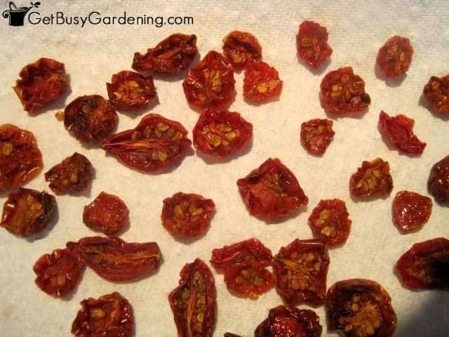 Sun Dried Cherry Tomatoes