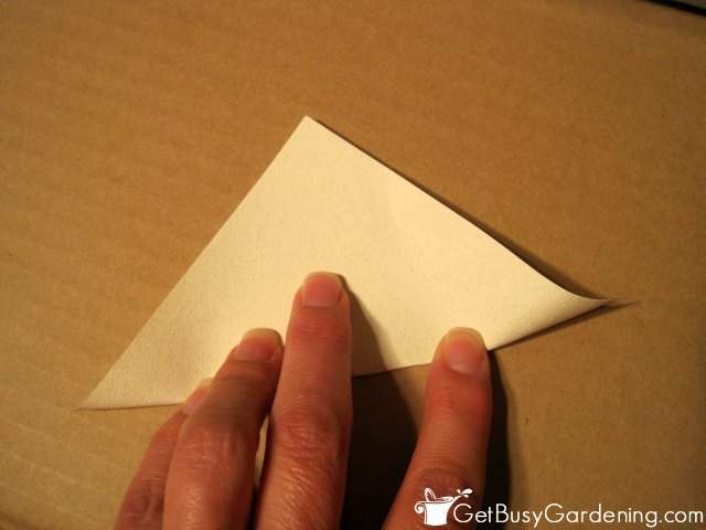 Folding paper in half first to create the seed envelopes