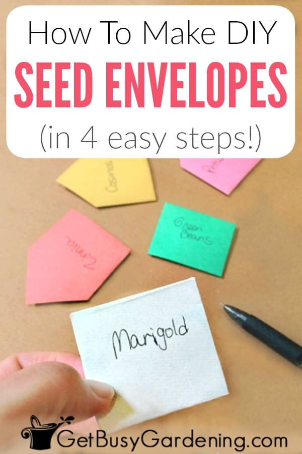 How To Make DIY Seed Envelopes (In 4 Easy Steps)