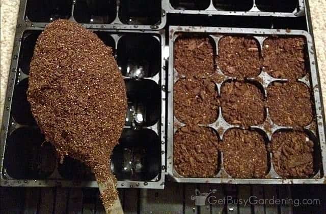 Filling tray cells with seed starting mix