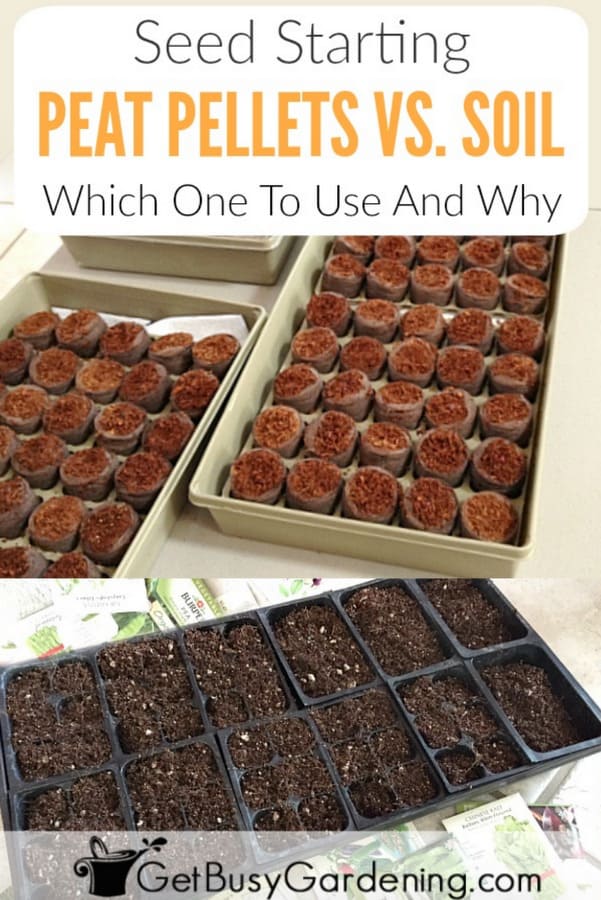 Seed Starting Peat Pellets Vs. Soil: Which Should You Use And Why?