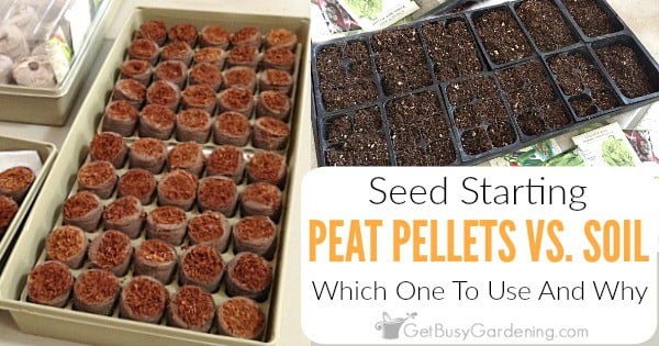 Seed Starting Peat Pellets Vs. Soil: Which Should You Use ...