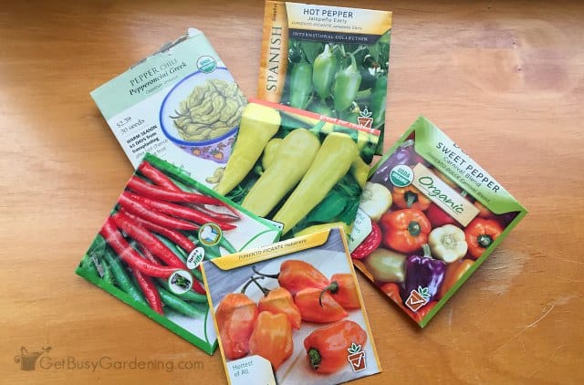 Pepper seed packets