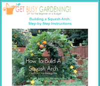 Get Busy Gardening's Squash Arch plans cover image.