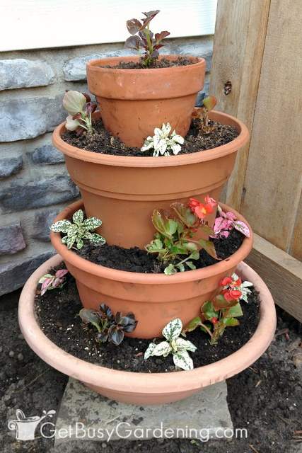 Add plants to your multi tiered planter