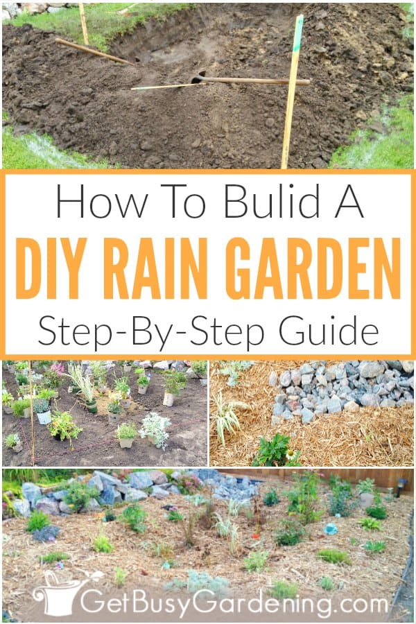 How To Build A DIY Rain Garden Step-By-Step Guide