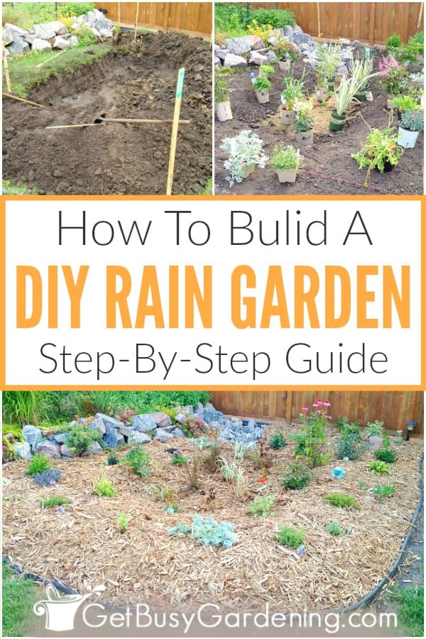 How To Build A DIY Rain Garden Step-By-Step Guide