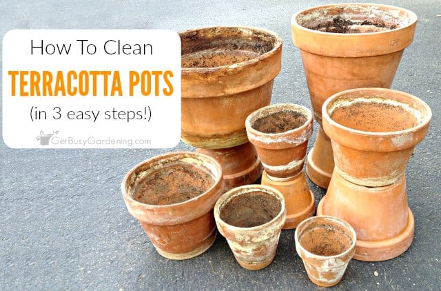 Clay pot - clean and maintain, how to clean clay pots after cooking