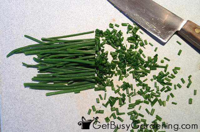 Chopping Chives Before Freezing