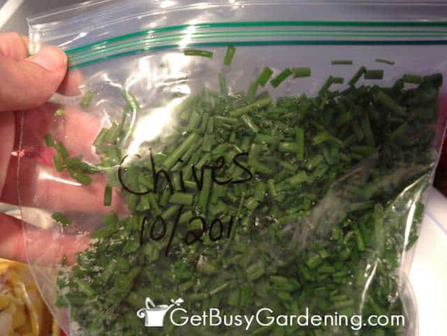 Put Chives Into The Freezer