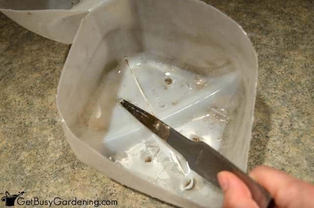 Melting Holes In A Winter Sowing Container