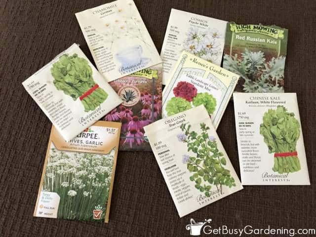 Seed Options For Winter Sowing