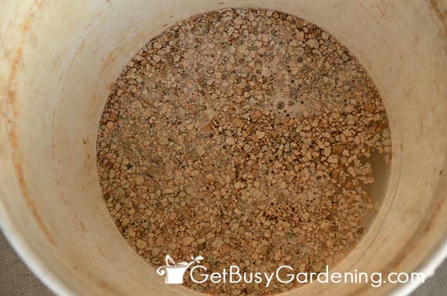 Soaking Beneficial Nematodes In Water