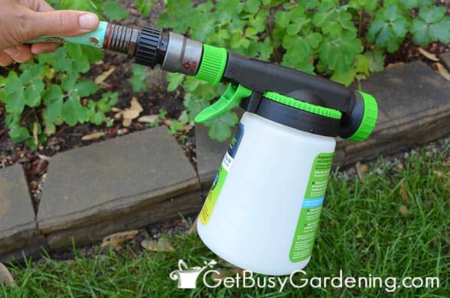Spray Beneficial Nematodes Around The Yard