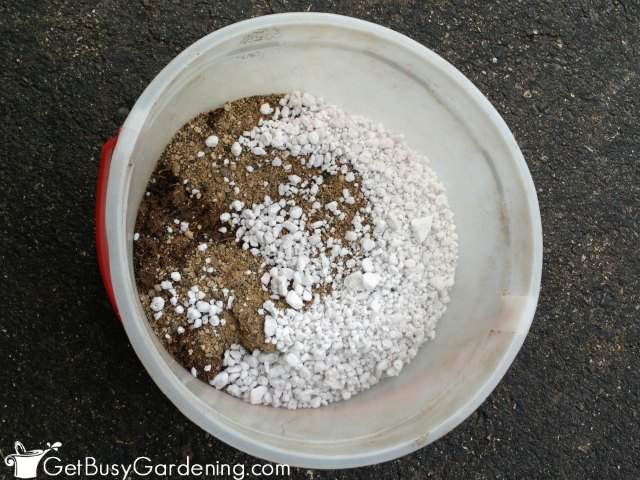 Combine succulent potting soil ingredients