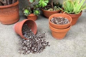 How To Make Your Own Succulent Soil (With Recipe!)