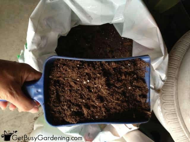 Use all purpose potting soil as base ingredient for succulent soil