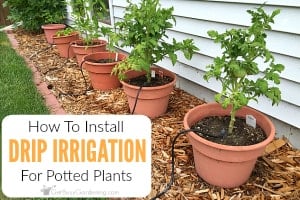 How Does Drip Irrigation Work for Potted Plants 