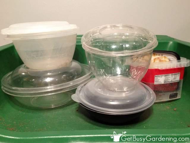 Some Options For Winter Sowing Containers