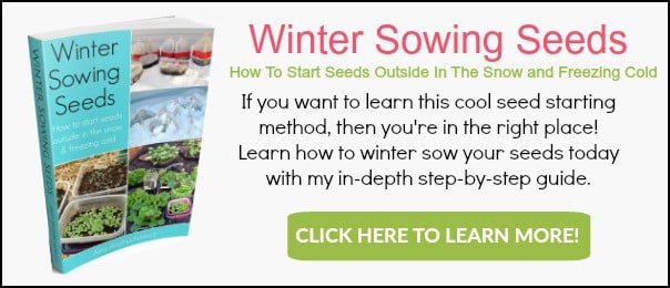 Winter sowing seeds eBook