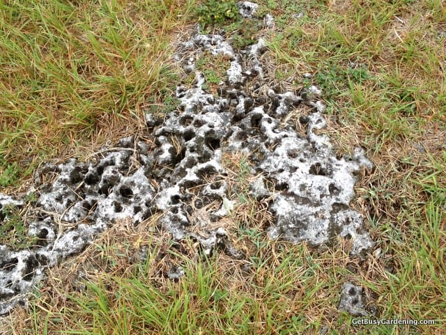 Limestone ground