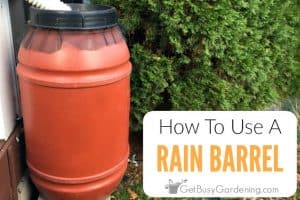 How Do Rain Barrels Work?