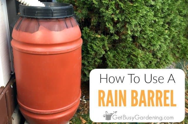 How To Use A Rain Barrel