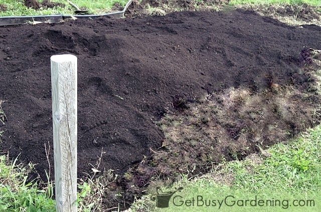 Compost spread over the top of our veggie garden