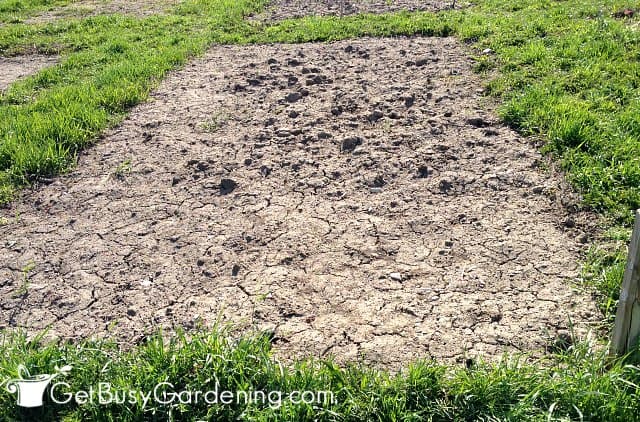 My vegetable garden bed before prepping it