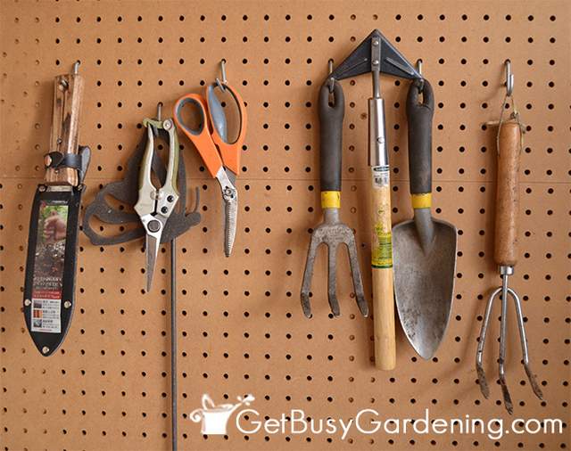 5 Tips To Gardening On A Budget (Beginner's Guide)