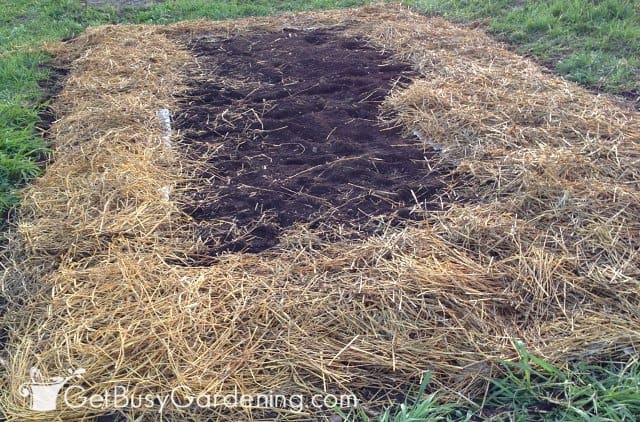 Covering our veggie plot with straw mulch before planting