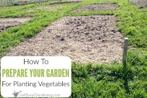 How to Prepare A Garden Bed For Planting Vegetables