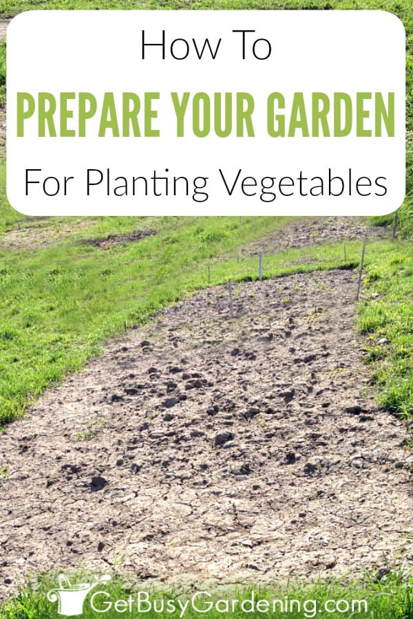 How To Prepare Your Garden For Planting Vegetables