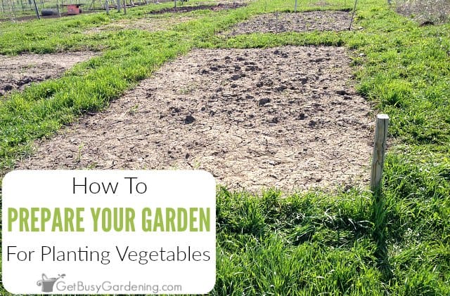 How To Prepare A Garden Bed For Planting Vegetables Get Busy