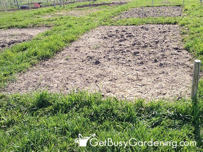 Previously Used Garden Bed