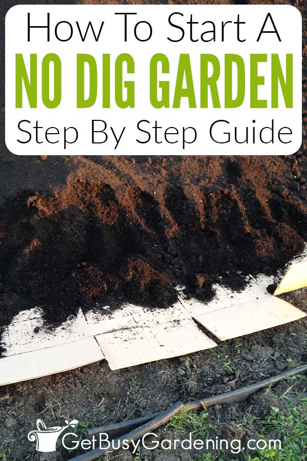 How To Start A No Dig Garden Step By Step Guide