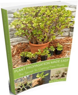 Plant propagation eBook