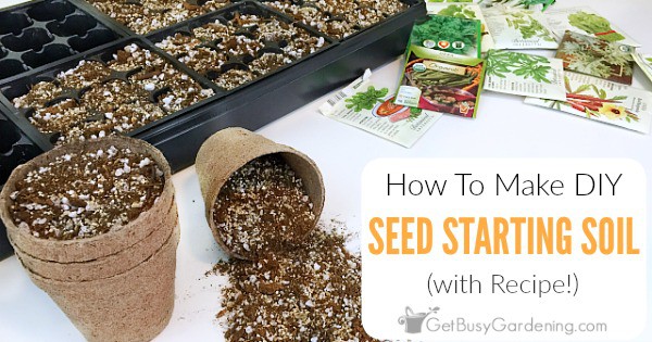 My homemade seed spacer took a half-hour to make and it's already paid for  itself. Today I'll show y…