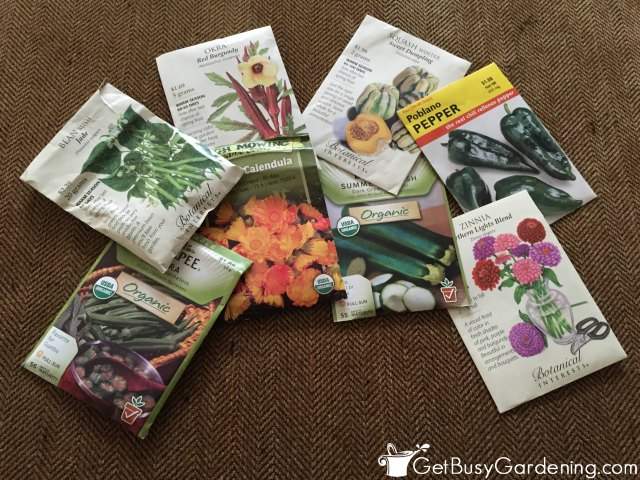 Some Of The Easiest Seeds To Start Indoors